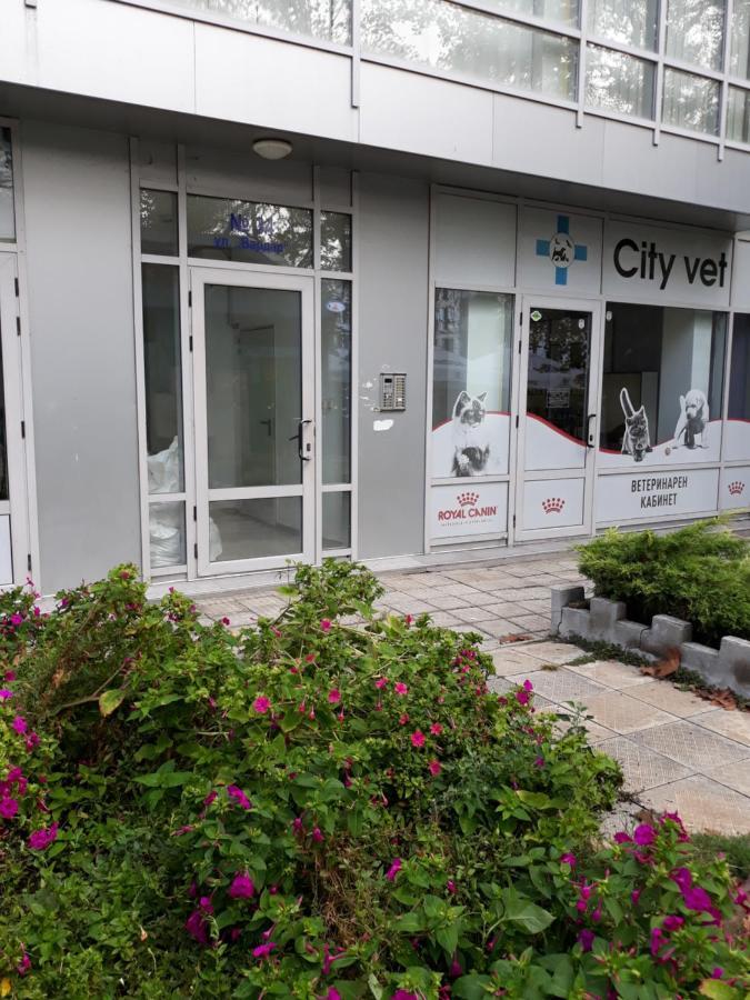בורגאס Art Luxury Apartment מראה חיצוני תמונה